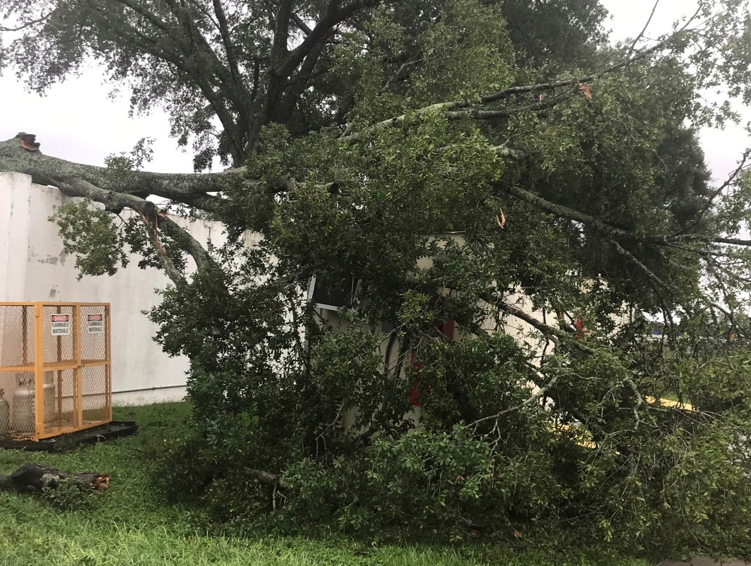 Image of U.S. Chemical Storage Building with fallen tree on top of it due to hurricane